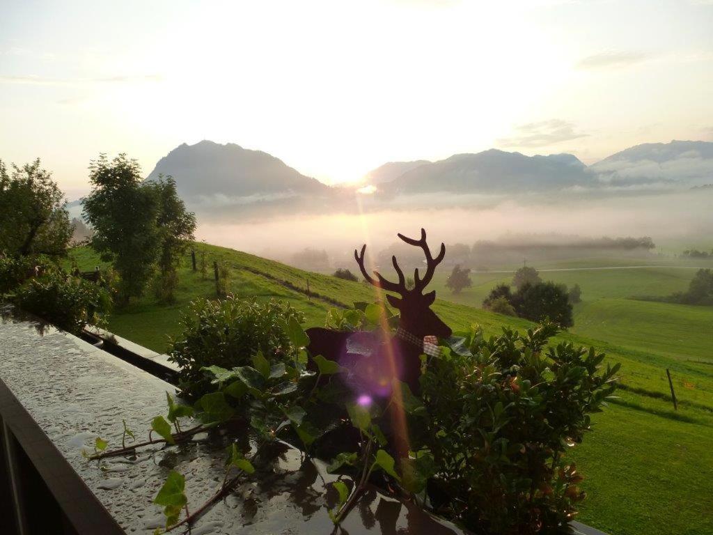 Alpenlodge Allgaeu 5* Офтершванг Екстериор снимка